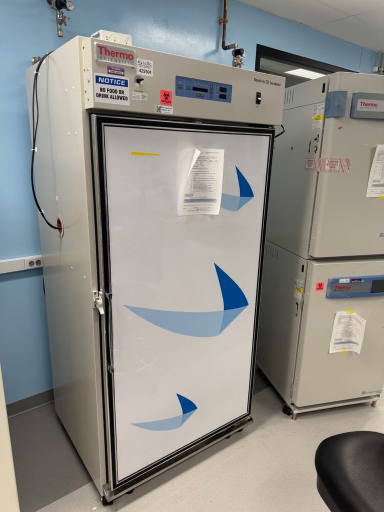 Image of Thermo Scientific Reach-In CO2 Incubator